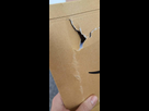 https://image.noelshack.com/fichiers/2022/07/1/1644834515-received-985393972097269.jpeg