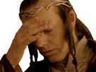 https://image.noelshack.com/fichiers/2022/07/2/1644954307-elrond-facepalm.png