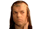 https://image.noelshack.com/fichiers/2022/07/2/1644954307-elrond-what-01.png