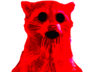 https://image.noelshack.com/minis/2022/07/4/1645102165-aaaaaaa.png