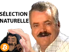 https://image.noelshack.com/fichiers/2022/07/7/1645354621-full.png
