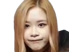 https://image.noelshack.com/fichiers/2022/08/1/1645464017-blackpink-rose-mokay.png