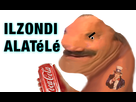 https://image.noelshack.com/fichiers/2022/08/4/1645732028-ilzondi.png