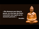 https://image.noelshack.com/fichiers/2022/08/6/1645864211-ces-30-profondes-citations-de-bouddha-vont-changer-votre-facon-de-voir-la-vie-1-1200x628.png