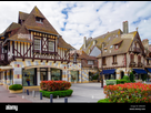 https://image.noelshack.com/fichiers/2022/08/6/1645894794-principale-rue-pietonne-de-la-rue-du-casino-de-deauville-en-france-avec-des-magasins-de-luxe-comme-hermes-etc-gfk63w-3.jpg