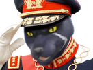 https://image.noelshack.com/fichiers/2022/09/2/1646090539-panther-24.png