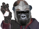 https://image.noelshack.com/fichiers/2022/09/2/1646175487-winston-chancla-mouchoir.png