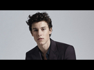 https://image.noelshack.com/fichiers/2022/09/4/1646339012-shawn-mendes.jpg