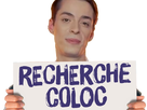 https://image.noelshack.com/fichiers/2022/09/6/1646514039-recherche-coloc.png