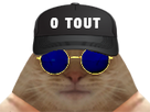 https://image.noelshack.com/fichiers/2022/10/2/1646705434-1641481864-0-tout-chat-casquette-lunette-kali-yuga.png