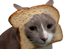 https://image.noelshack.com/fichiers/2022/10/4/1646945828-1646510275-1645583970-1529868732-chat-tartine.png
