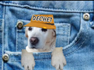 https://image.noelshack.com/minis/2022/10/7/1647169841-1647169800505.png