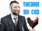 https://image.noelshack.com/fichiers/2022/10/7/1647190671-theorie-du-coq.png