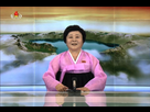 https://image.noelshack.com/fichiers/2022/11/1/1647292678-1264408-ri-chun-hee-presentatrice-de-la-television-d-etat-nord-coreenne.jpg