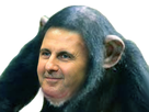 https://image.noelshack.com/fichiers/2022/11/6/1647645752-bachar-singe-syrie.png