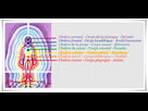 https://image.noelshack.com/fichiers/2022/11/7/1647751443-coach-developpement-personnel-chakras.png