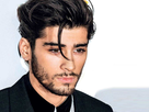 https://image.noelshack.com/fichiers/2022/11/7/1647806697-1617620406-valeur-nette-de-zayn-malik-2021-richesse-revenus-et-vie.jpg