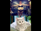 https://image.noelshack.com/fichiers/2022/12/5/1648231654-fucking-hate-fat-people-2-2.jpg
