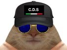 https://image.noelshack.com/minis/2022/12/6/1648290184-cds.png