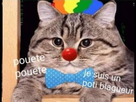 https://image.noelshack.com/fichiers/2022/12/6/1648296275-hqdefault.jpg