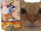 https://image.noelshack.com/fichiers/2022/13/2/1648555350-yugioh-piege-chat.png