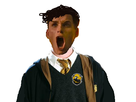 https://image.noelshack.com/fichiers/2022/13/4/1648728280-angry-hufflepuff-2.png