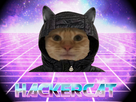 https://image.noelshack.com/fichiers/2022/13/4/1648756220-chat-capuchent-hacker-cat.jpg