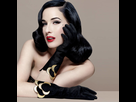 https://image.noelshack.com/fichiers/2022/13/7/1648984727-gant-glamour-dita-von-teese-les-gants-dita-von-teese-noir.jpg