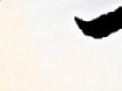 https://image.noelshack.com/fichiers/2022/14/1/1649092909-49-hfeg05un.png