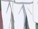 https://image.noelshack.com/fichiers/2022/14/1/1649092926-32-hfeg05un.png