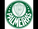 https://image.noelshack.com/fichiers/2022/14/6/1649515900-2048px-palmeiras-logo-svg.png