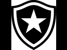 https://image.noelshack.com/fichiers/2022/14/6/1649521948-1816px-botafogo-de-futebol-e-regatas-logo-svg.png