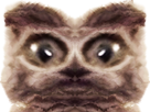 https://image.noelshack.com/fichiers/2022/15/1/1649705841-aefe43ae-9cc6-4e5e-a8b8-a0c8e48f2563.png