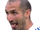 https://image.noelshack.com/fichiers/2022/15/7/1650184321-chiellini.png