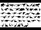 https://image.noelshack.com/fichiers/2022/16/2/1650375856-dinosaurs-silhouettes1.jpg