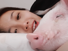 https://image.noelshack.com/minis/2022/16/3/1650457362-cdp-cochon-1.png
