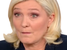 https://image.noelshack.com/fichiers/2022/16/4/1650548731-marine-le-pen.png