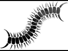 https://image.noelshack.com/fichiers/2022/16/5/1650617809-the-worm-insignia.jpg