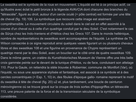 https://image.noelshack.com/fichiers/2022/16/5/1650627145-capture-d-ecran-2022-04-22-a-13-31-47.png