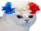https://image.noelshack.com/fichiers/2022/16/7/1650813770-full-2-min.png