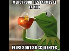 https://image.noelshack.com/fichiers/2022/16/7/1650823658-merci-pour-tes-larmes-le-facho-elles-sont-succulentes.jpg