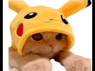 https://image.noelshack.com/fichiers/2022/17/2/1650975194-1582415953-pika-chat.png