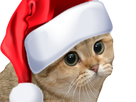 https://image.noelshack.com/fichiers/2022/17/2/1650978674-1523919546-chat-christmas.png