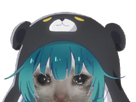 https://image.noelshack.com/fichiers/2022/17/2/1650998741-20220109-000432.png