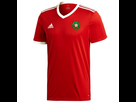 https://image.noelshack.com/fichiers/2022/17/3/1651011069-maillot-de-football-maroc-domicile-201819-adidas.jpg