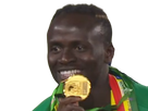 https://image.noelshack.com/fichiers/2022/17/3/1651084555-sadio-mane-1.png