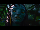 https://image.noelshack.com/fichiers/2022/19/2/1652219667-avatar-1.jpg