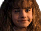 https://image.noelshack.com/fichiers/2022/19/3/1652268666-65103654163-hermione.png