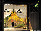 https://www.noelshack.com/2022-19-7-1652628900-somon-gate-engaku-ji-temple-big.jpg