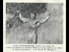 https://image.noelshack.com/fichiers/2022/20/4/1652912235-arnold.jpg